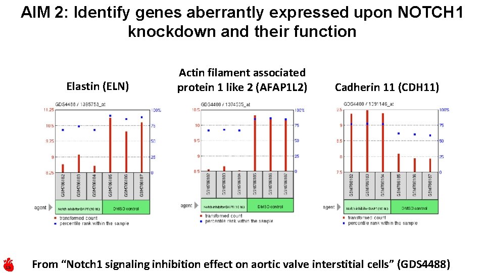 AIM 2: Identify genes aberrantly expressed upon NOTCH 1 knockdown and their function Elastin