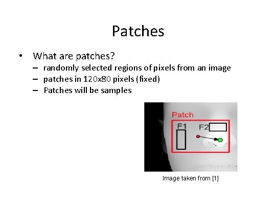 Patches • What are patches? – randomly selected regions of pixels from an image