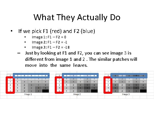 What They Actually Do • If we pick F 1 (red) and F 2