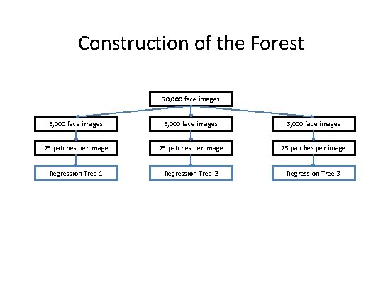 Construction of the Forest 50, 000 face images 3, 000 face images 25 patches