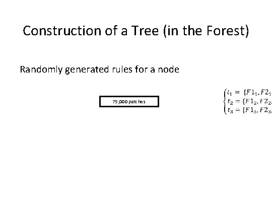 Construction of a Tree (in the Forest) Randomly generated rules for a node 75,