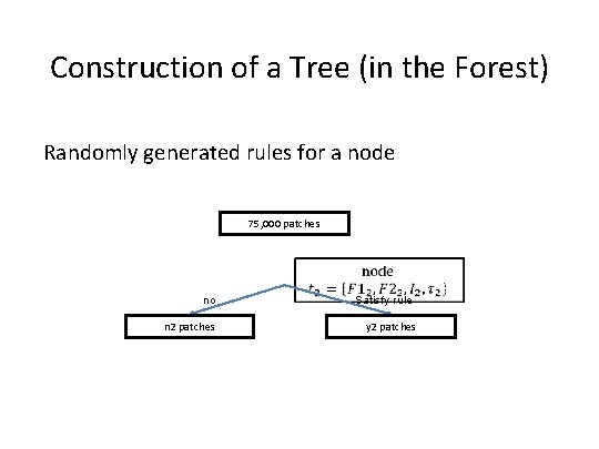 Construction of a Tree (in the Forest) Randomly generated rules for a node 75,