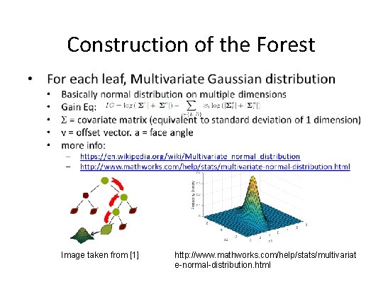 Construction of the Forest • Image taken from [1] http: //www. mathworks. com/help/stats/multivariat e-normal-distribution.