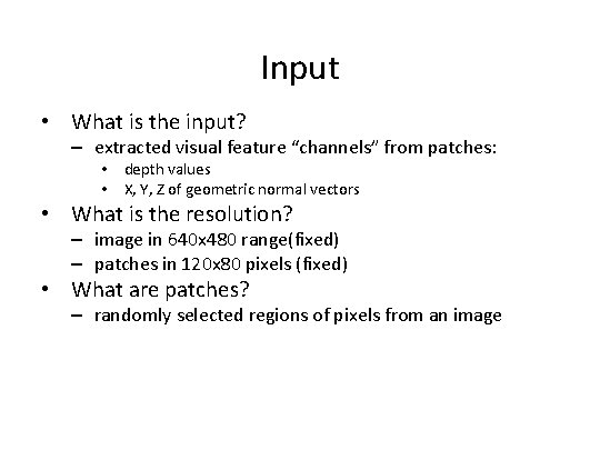 Input • What is the input? – extracted visual feature “channels” from patches: •