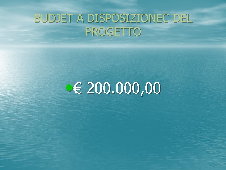BUDJET A DISPOSIZIONEC DEL PROGETTO • € 200. 000, 00 