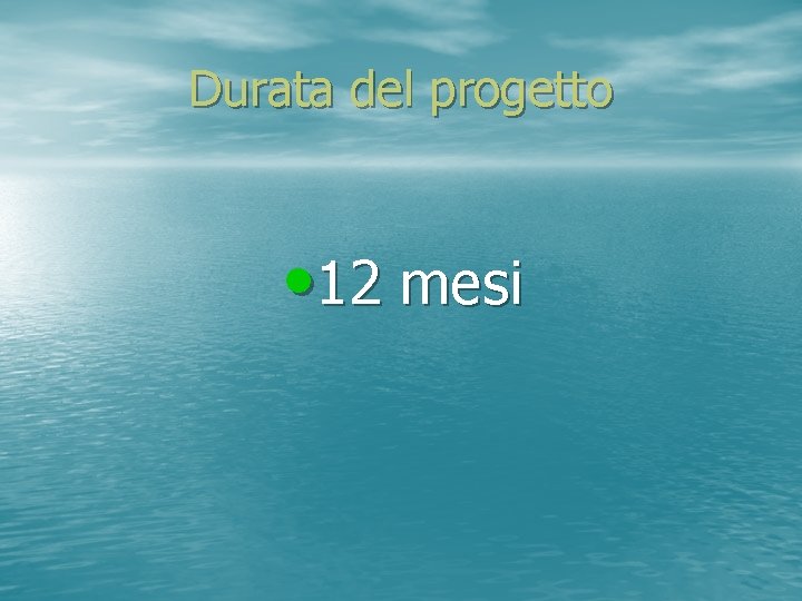 Durata del progetto • 12 mesi 