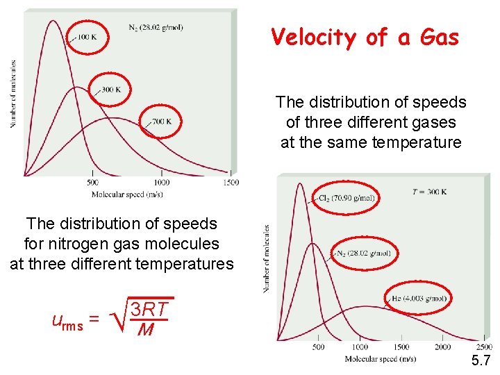 Velocity of a Gas The distribution of speeds of three different gases at the