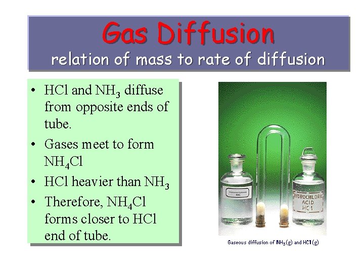 Gas Diffusion relation of mass to rate of diffusion • HCl and NH 3