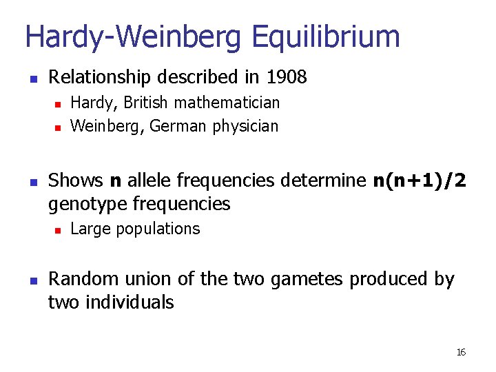 Hardy-Weinberg Equilibrium n Relationship described in 1908 n n n Shows n allele frequencies