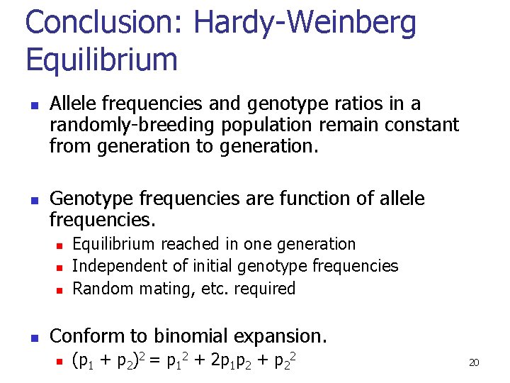 Conclusion: Hardy-Weinberg Equilibrium n n Allele frequencies and genotype ratios in a randomly-breeding population