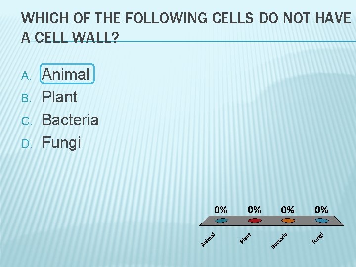 WHICH OF THE FOLLOWING CELLS DO NOT HAVE A CELL WALL? A. B. C.