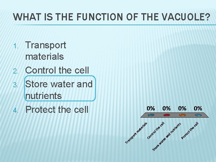 WHAT IS THE FUNCTION OF THE VACUOLE? 1. 2. 3. 4. Transport materials Control