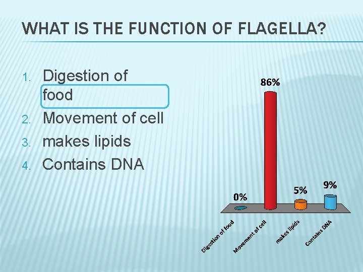 WHAT IS THE FUNCTION OF FLAGELLA? 1. 2. 3. 4. Digestion of food Movement