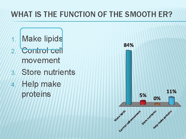 WHAT IS THE FUNCTION OF THE SMOOTH ER? 1. 2. 3. 4. Make lipids