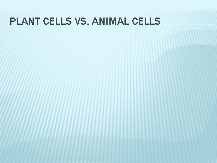 PLANT CELLS VS. ANIMAL CELLS 