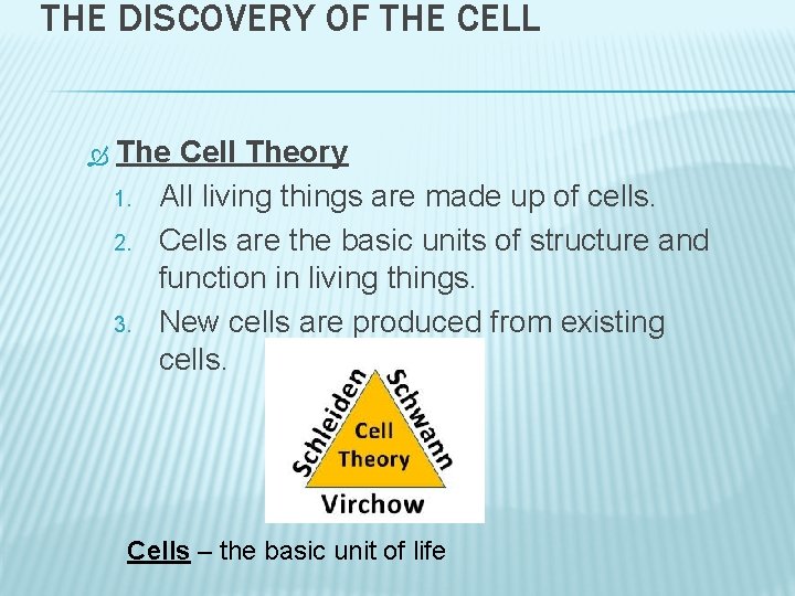 THE DISCOVERY OF THE CELL The Cell Theory 1. All living things are made