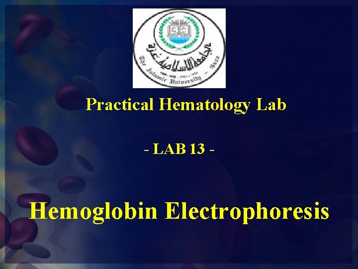 Practical Hematology Lab - LAB 13 - Hemoglobin Electrophoresis 