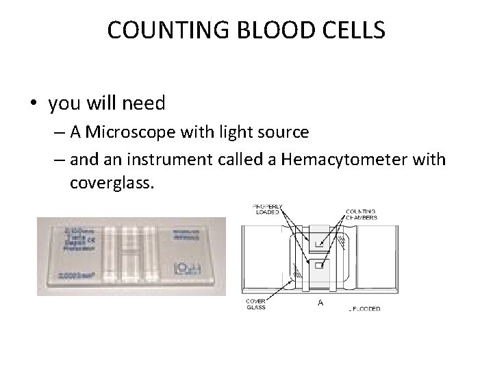 COUNTING BLOOD CELLS • you will need – A Microscope with light source –