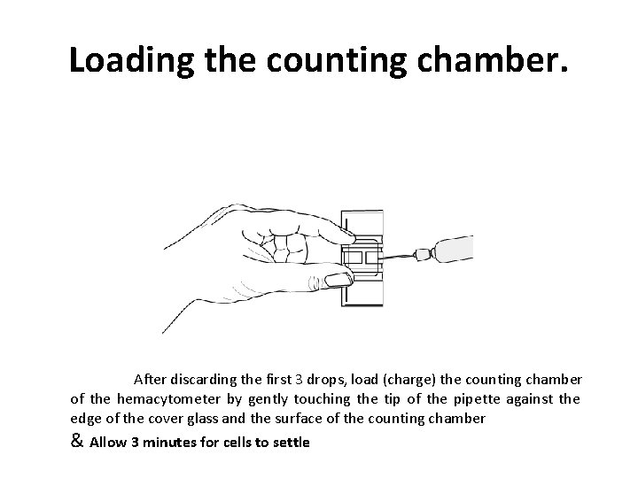 Loading the counting chamber. After discarding the first 3 drops, load (charge) the counting