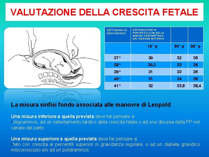 VALUTAZIONE DELLA CRESCITA FETALE SETTIMANA DI GRAVIDANZA DISTRIBUZIONE IN PERCENTILI (CM) DELLA MISURA CENTIMRTRICA