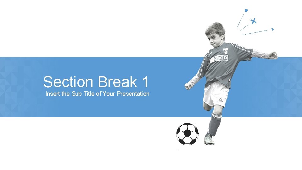 Section Break 1 Insert the Sub Title of Your Presentation 