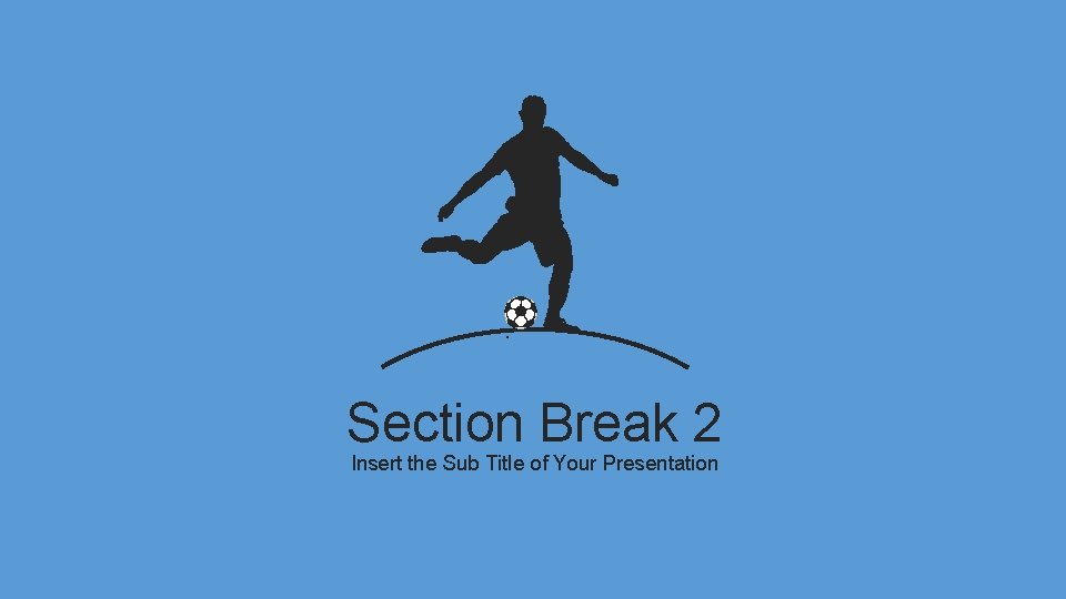 Section Break 2 Insert the Sub Title of Your Presentation 