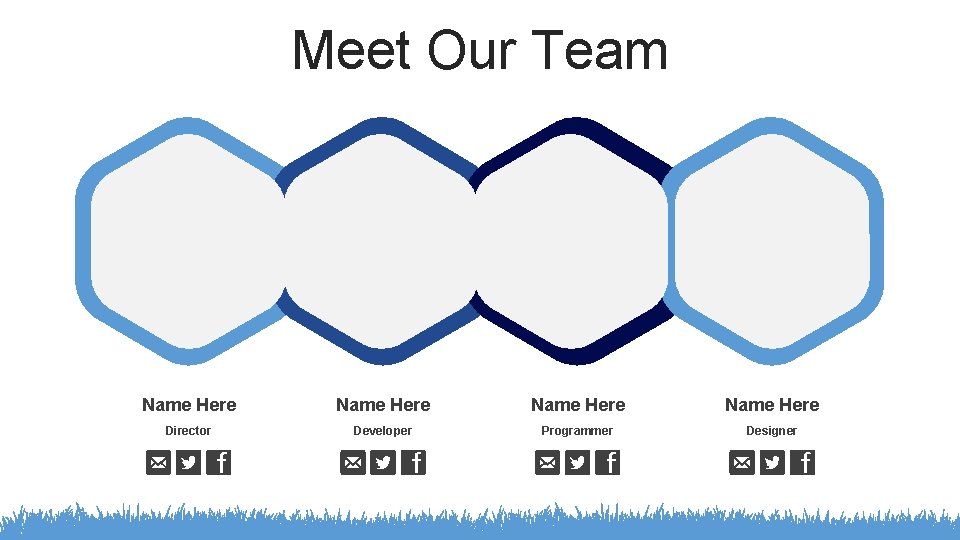 Meet Our Team Name Here Director Developer Programmer Designer 