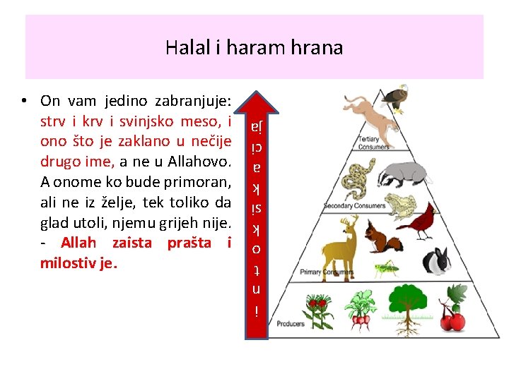 Halal i haram hrana i n t o k si k a ci ja Halal i haram hrana i n t o k si k a ci ja