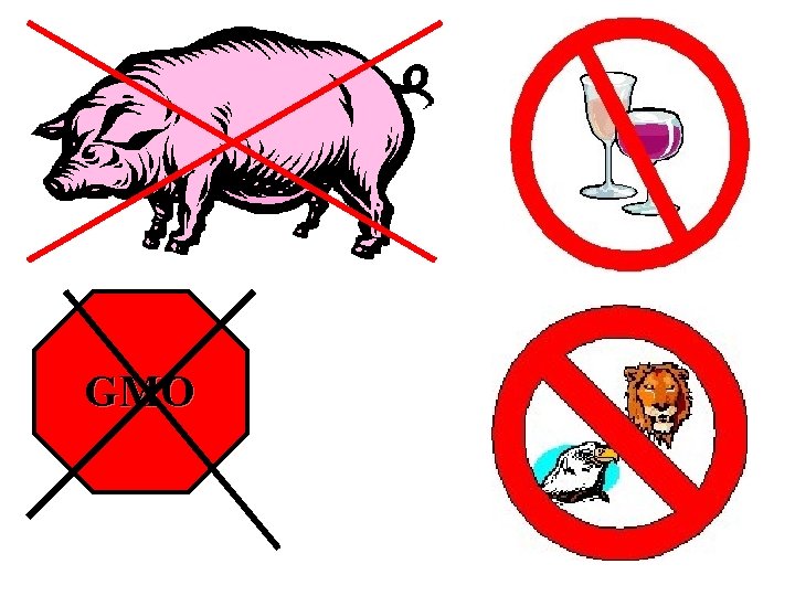 GMO GMO