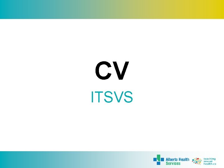 CV ITSVS 