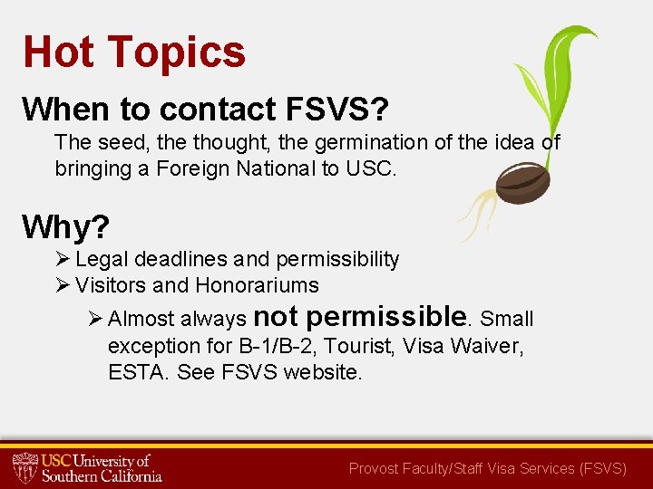 Hot Topics When to contact FSVS? The seed, the thought, the germination of the