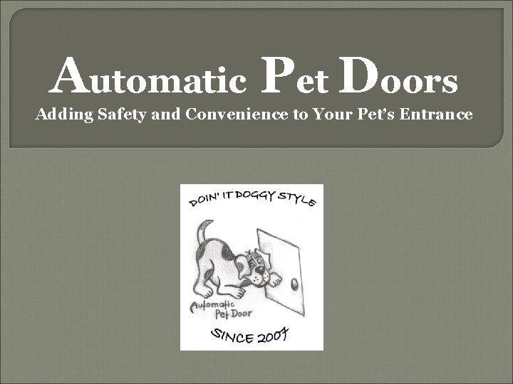 Automatic Pet Doors Adding Safety and Convenience to Your Pet’s Entrance 