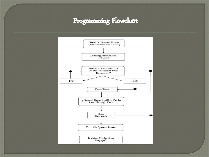 Programming Flowchart 