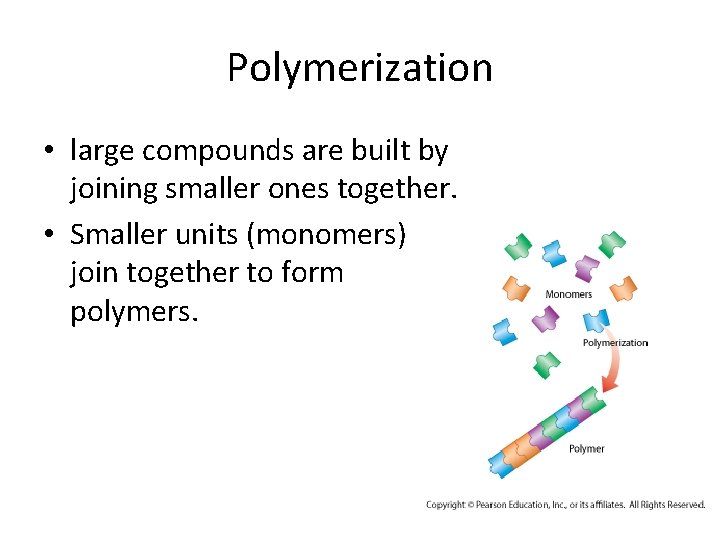 Polymerization • large compounds are built by joining smaller ones together. • Smaller units