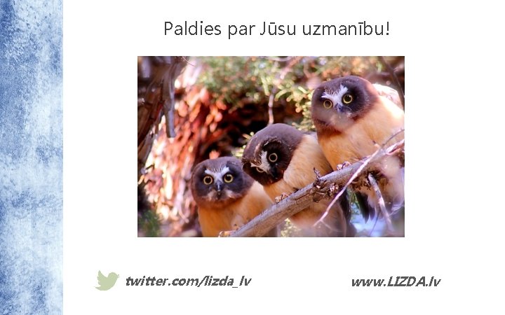 Paldies par Jūsu uzmanību! twitter. com/lizda_lv www. LIZDA. lv 