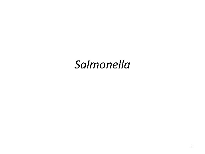 Salmonella 1 Salmonella 1