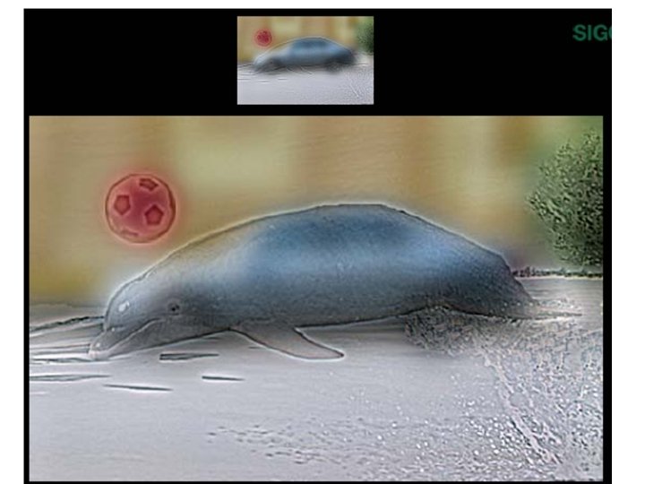 Hybrid Images siggraph 06 Hybrid Images siggraph 06