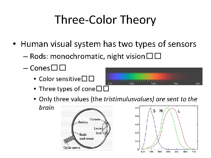 Three-Color Theory • Human visual system has two types of sensors – Rods: monochromatic, Three-Color Theory • Human visual system has two types of sensors – Rods: monochromatic,