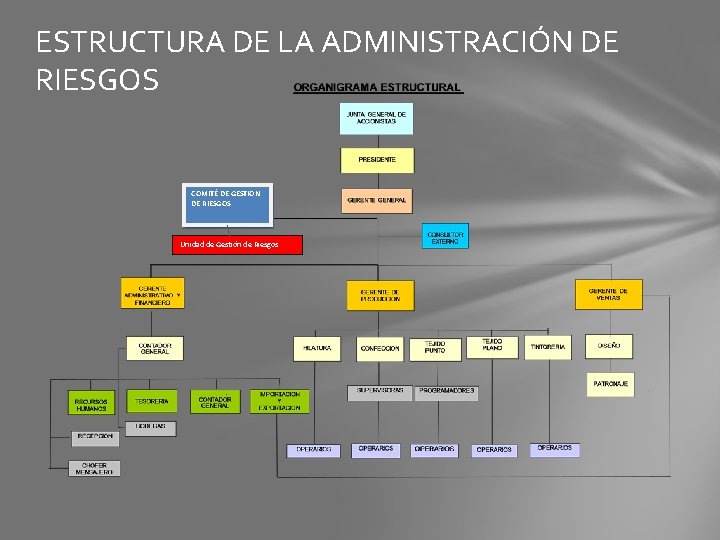 ESTRUCTURA DE LA ADMINISTRACIÓN DE RIESGOS COMITÉ DE GESTION DE RIESGOS Unidad de Gestión
