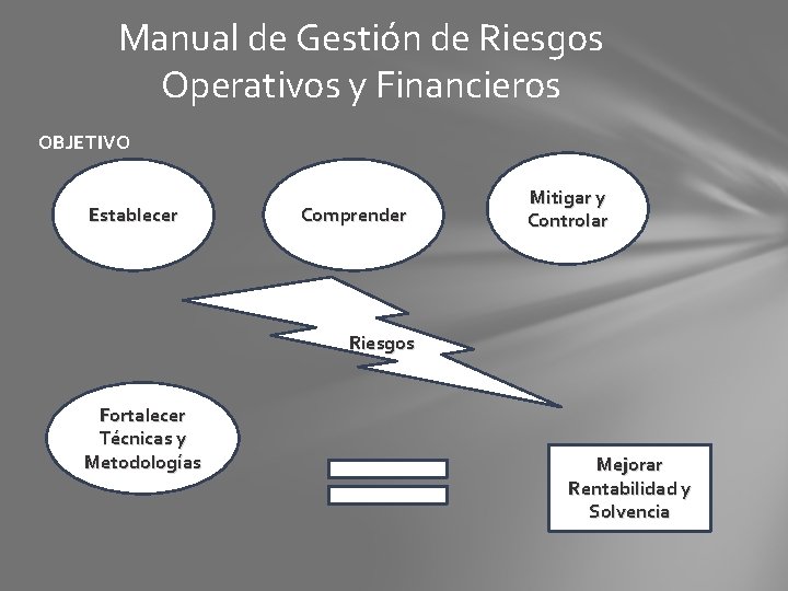 Manual de Gestión de Riesgos Operativos y Financieros OBJETIVO Establecer Comprender Mitigar y Controlar