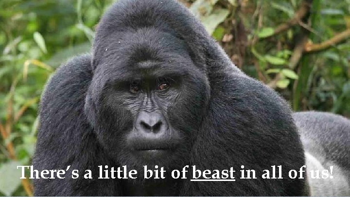 There’s a little bit of beast in all of us! There’s a little bit of beast in all of us!
