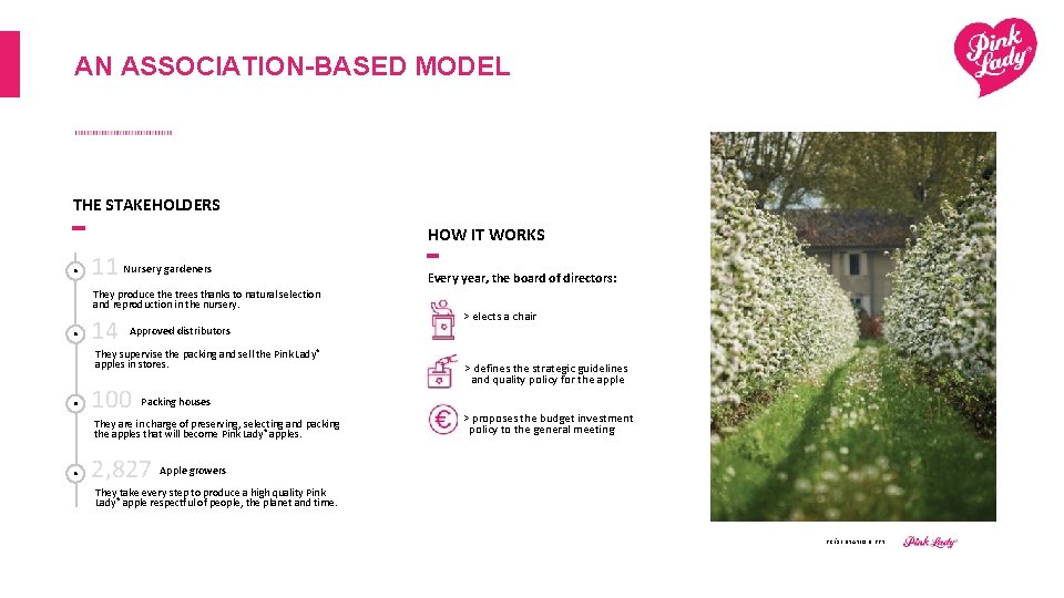 AN ASSOCIATION-BASED MODEL THE STAKEHOLDERS HOW IT WORKS 11 Nursery gardeners They produce the