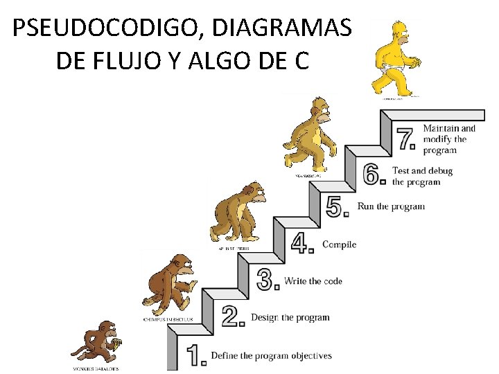 PSEUDOCODIGO, DIAGRAMAS DE FLUJO Y ALGO DE C 