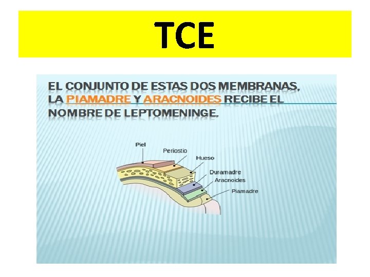 TCE 