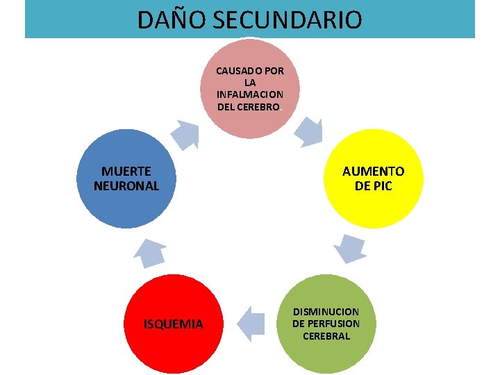 DAÑO SECUNDARIO CAUSADO POR LA INFALMACION DEL CEREBRO. MUERTE NEURONAL ISQUEMIA AUMENTO DE PIC