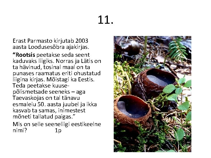 11. Erast Parmasto kirjutab 2003 aasta Loodusesõbra ajakirjas. “Rootsis peetakse seda seent kaduvaks liigiks.
