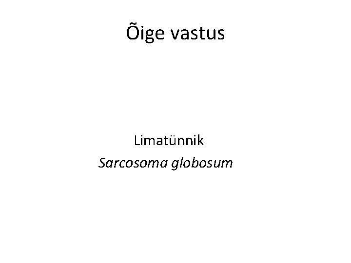 Õige vastus Limatünnik Sarcosoma globosum 