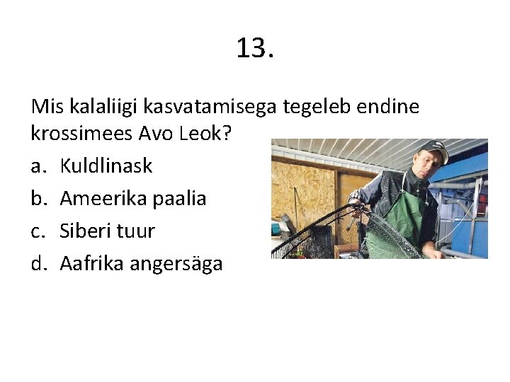 13. Mis kalaliigi kasvatamisega tegeleb endine krossimees Avo Leok? a. Kuldlinask b. Ameerika paalia