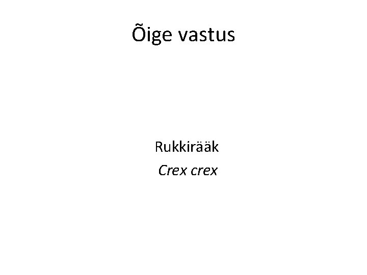 Õige vastus Rukkirääk Crex crex 
