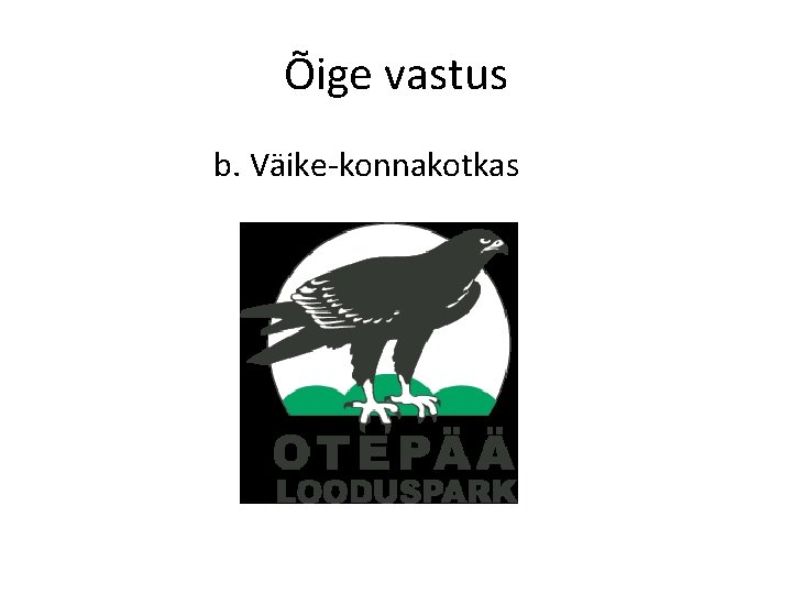 Õige vastus b. Väike-konnakotkas 